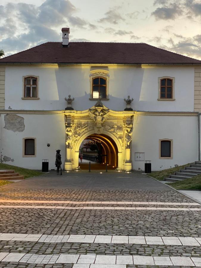 Studio Panoramic With Balcony And Parcul Unirii View Alba Iulia Dış mekan fotoğraf