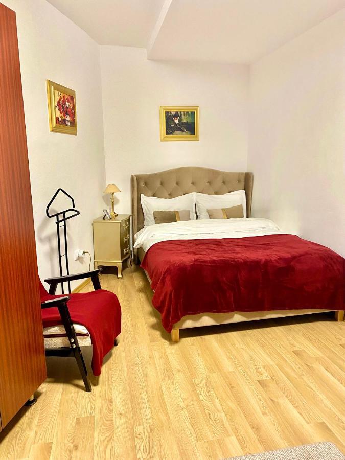 Studio Panoramic With Balcony And Parcul Unirii View Alba Iulia Dış mekan fotoğraf
